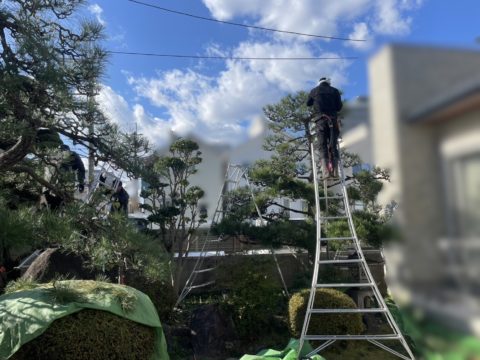 茨木市、高槻市で草刈り・剪定・伐採をお考えのお客さまへ：三挨創美株式会社が提案する美しい緑の空間づくり