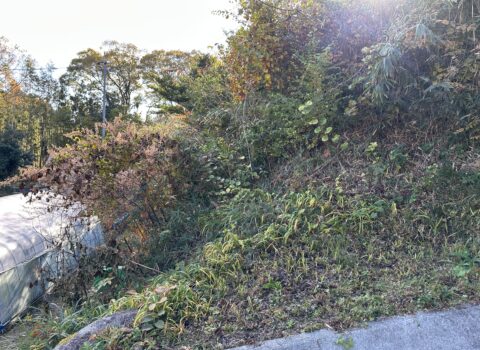 大阪府内にある、長い間草刈りが行われていなかった場所の清掃作業を行いました。