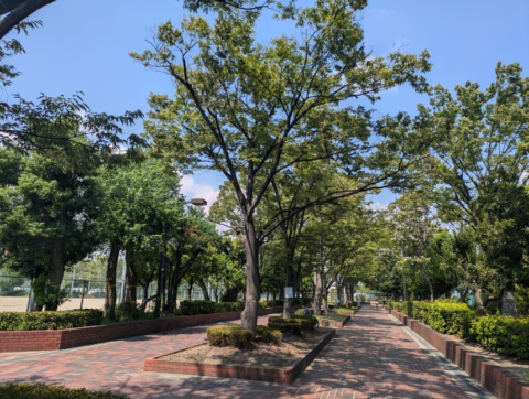 大阪府北摂近隣地域での造園作業員募集！あなたの技術で街の緑地を美しくしませんか？